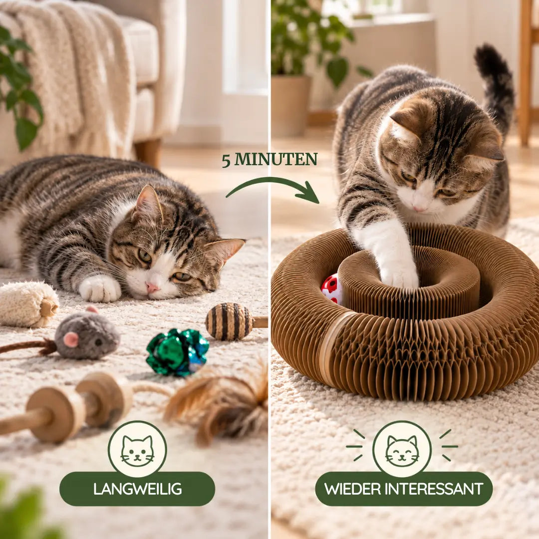 PURRLIO SpielWirbel™