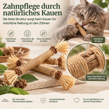 PURRLIO ZahnRitual™ (5 Stk)