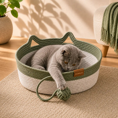 PURRLIO KloreBett™