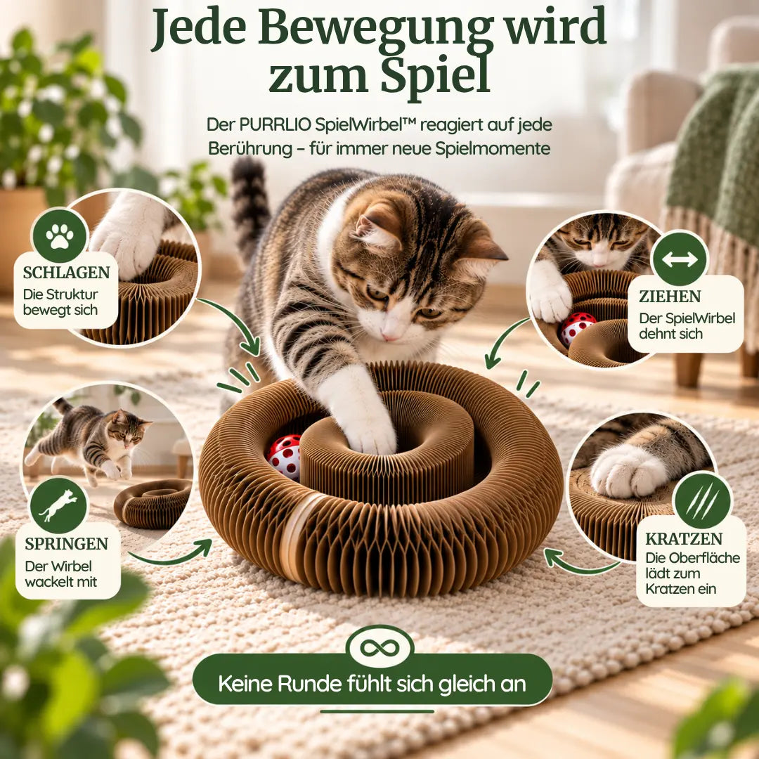 PURRLIO SpielWirbel™