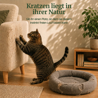 PURRLIO KloreBett™