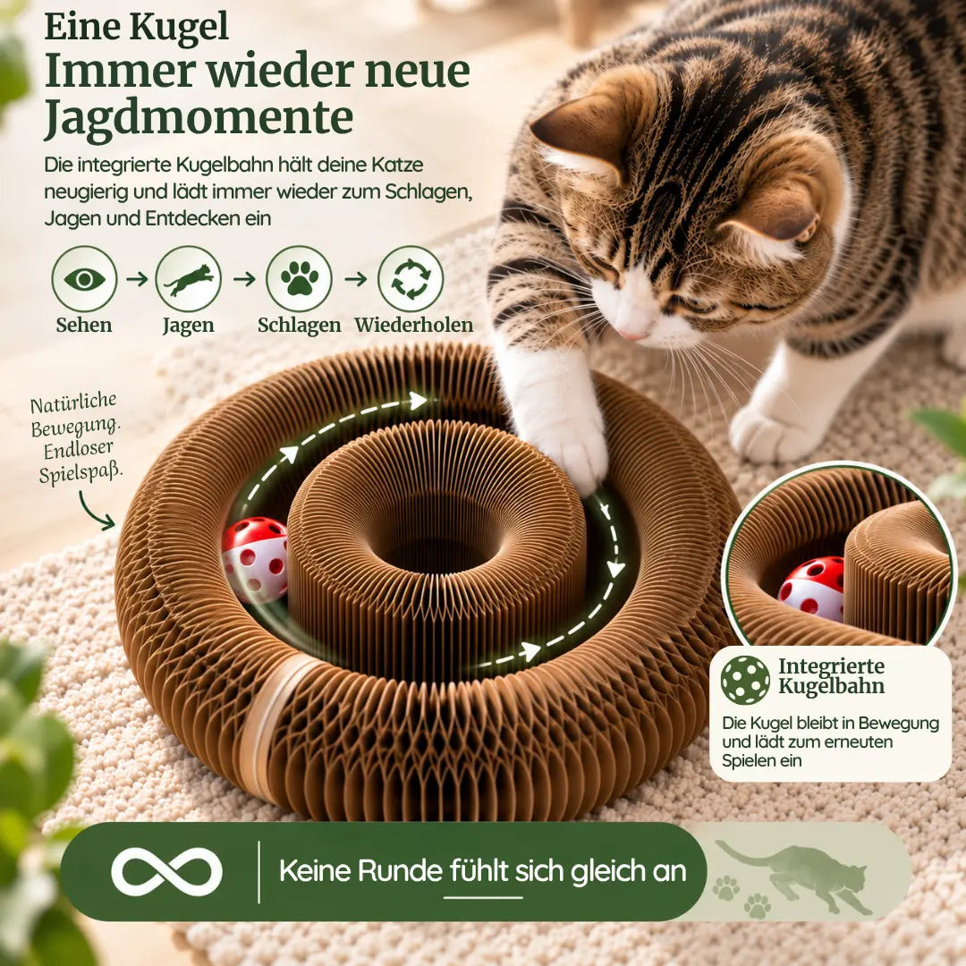 PURRLIO SpielWirbel™