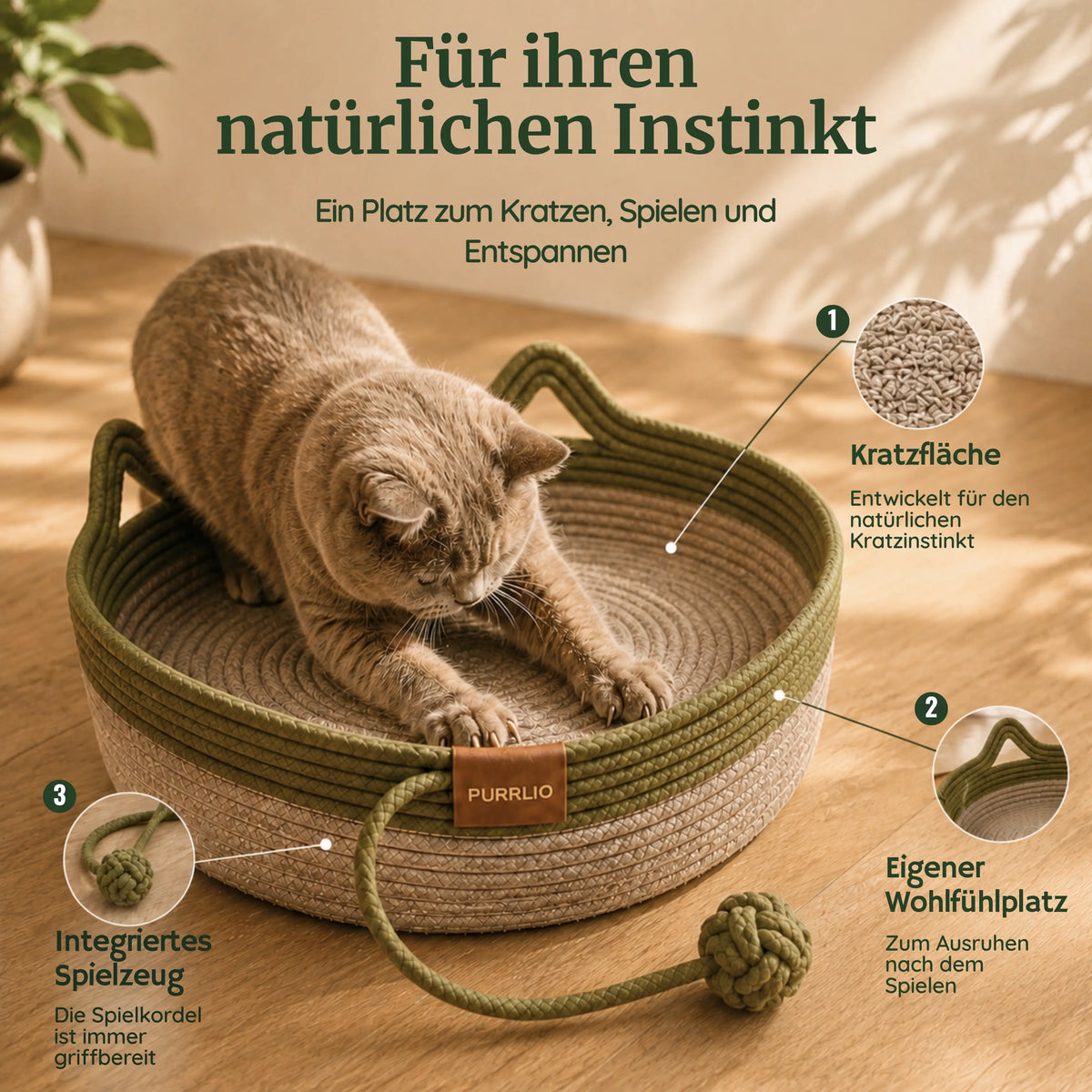 PURRLIO KloreBett™