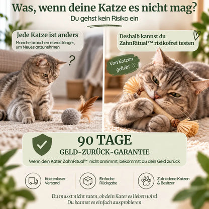 PURRLIO ZahnRitual™ (5 Stk)