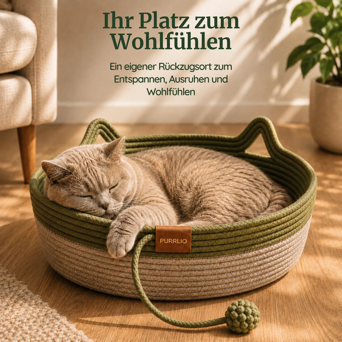 PURRLIO KloreBett™